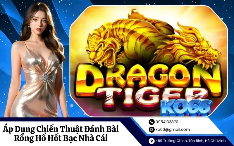 Áp Dụng Chiến Thuật Đánh Bài Rồng Hổ Hốt Bạc Nhà Cái