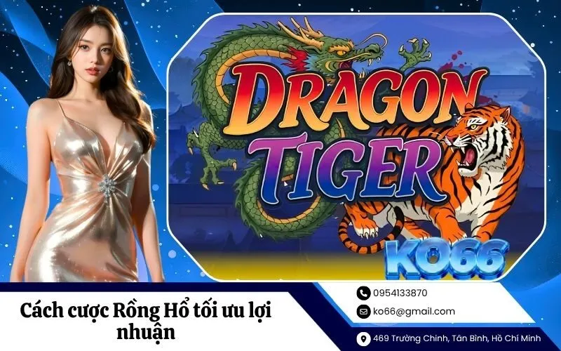 Chiến thuật cược Rồng Hổ tối ưu lợi nhuận