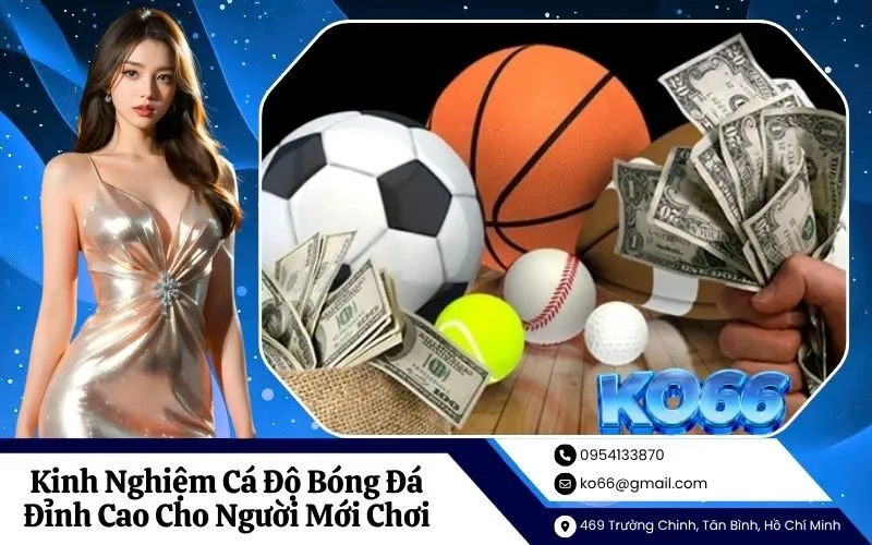 Kinh Nghiệm Cá Độ Bóng Đá Đỉnh Cao Cho Người Mới Chơi
