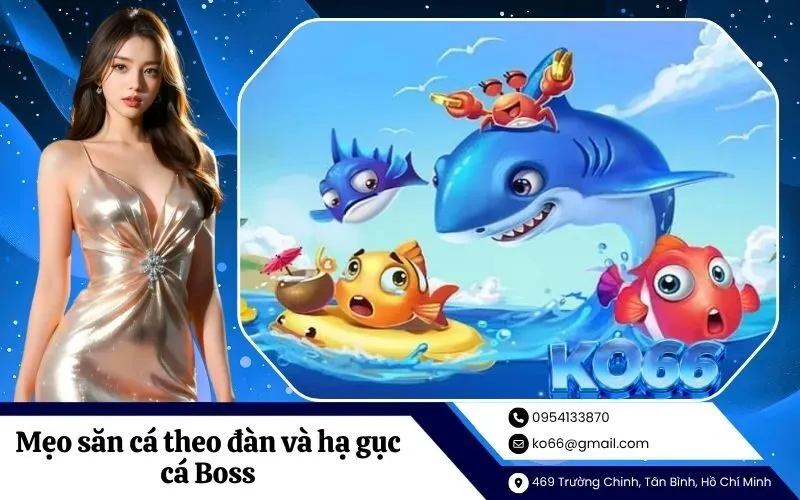 Mẹo săn cá theo đàn và hạ gục cá Boss