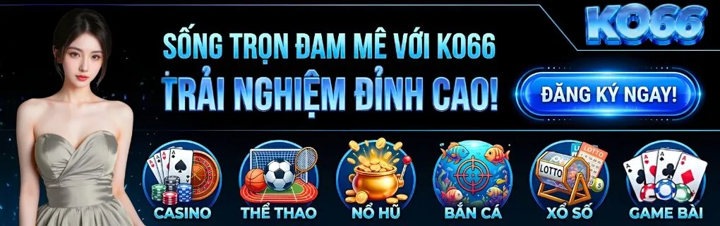 banner KO66